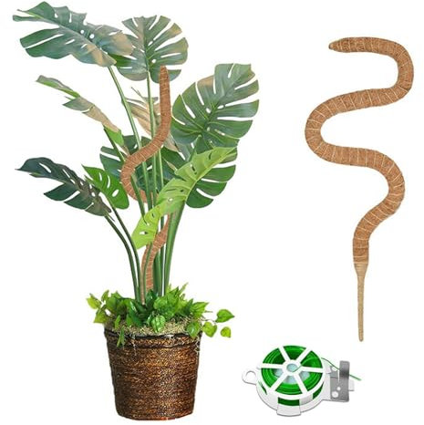 NCCHDZSW Monstera Rankhilfe 120 cm Moosstab für Monstera Biegsame Pflanzenstab Pflanzenstütze aus natürlicher Kokosfaser Rankhilfe Zimmerpflanzen für Kletterpflanzen Natürlicher Pflanzenstütze