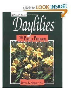 Daylilies: The Perfect Perennial