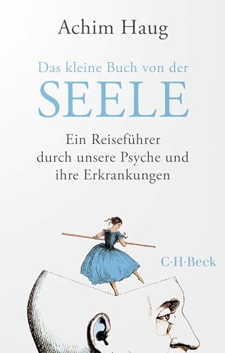 Das kleine Buch von der Seele: Ein Reiseführer durch unsere Psyche und ihre Erkrankungen (Beck Paperback)