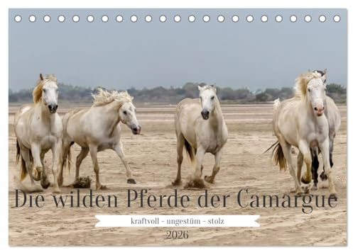 Die wilden Pferde der Camargue (Tischkalender 2026 DIN A5 quer), CALVENDO Monatskalender: Weiße Pferde leben immer noch in Freiheit in Südfrankreich (CALVENDO Tiere)