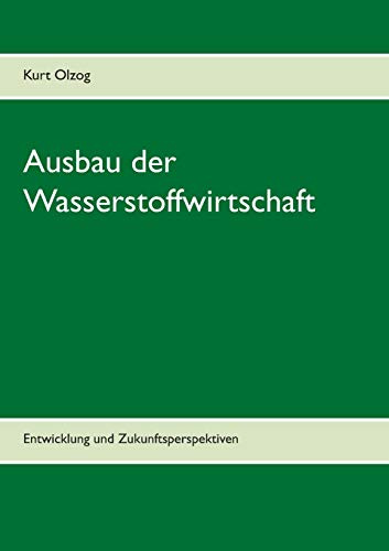 Ausbau der Wasserstoffwirtschaft: Entwicklung und Zukunftsperspektiven
