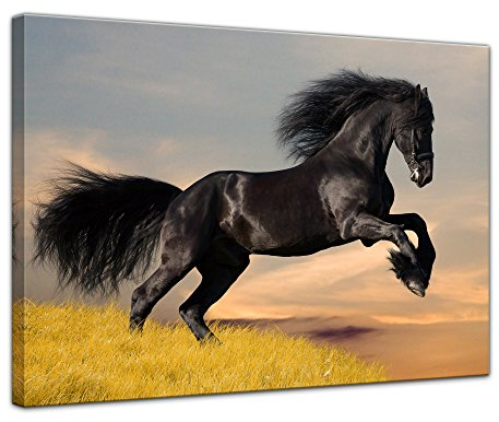 Bilderdepot24 Bild auf Leinwand | Friese in 80x60 cm als Wandbild | Wand-deko Dekoration Wohnung modern Bilder | 210812