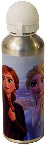 Templar Gourde en aluminium pour enfant Motif personnages M Frozen