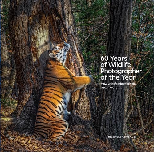 60 Years of Wildlife Photographer of the Year: How Wildlife Photography Became Art