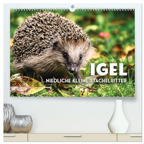 Igel - Niedliche kleine Stachelritter (hochwertiger Premium Wandkalender 2026 DIN A2 quer), Kunstdruck in Hochglanz: Tierchen, die Herzen berühren (CALVENDO Tiere)