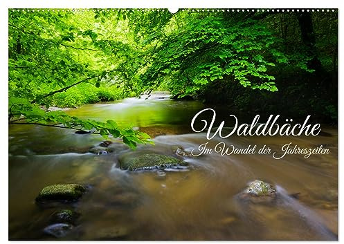 Waldbäche - Im Wandel der Jahreszeiten (Wandkalender 2026 DIN A2 quer), CALVENDO Monatskalender: Versteckte Schönheiten unserer Wälder (CALVENDO Natur)