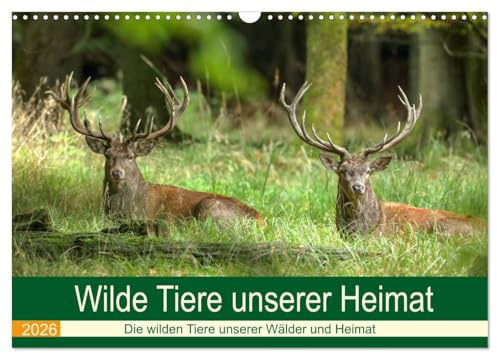Wilde Tiere unserer Heimat (Wandkalender 2026 DIN A3 quer), CALVENDO Monatskalender: Die wilden Tiere in Deutschlands Wäldern, an der Küste und in unserem Kulturland (CALVENDO Tiere)