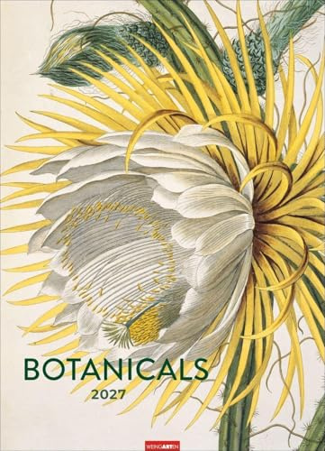 Botanicals Kalender 2027: Jahres-Wandkalender 2027. Imposante Blätter-Kunst im Retro-Look. Historisch-botanische Zeichnungen, zeitgemäß inszeniert. ... Kunstkalender im Großformat 49 x 68 cm