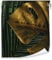 Vliestapete Blätter Grün Gold Pflanzen Monstera - 10mx50cm inkl. Kleister - für Schlafzimmer Wohnzimmer Küche Modern 10M Rolle Vlies Tapete Tapeten Wandtapete Mustertapete UV-Beständig