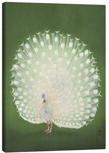 Posterlounge Weißer Pfau Leinwandbild von Ohara Koson 50 x 70 cm Grün Wandbilder Wanddeko