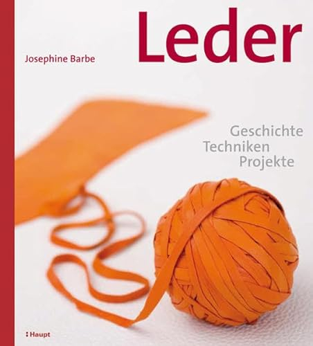 Leder: Geschichte, Techniken, Projekte