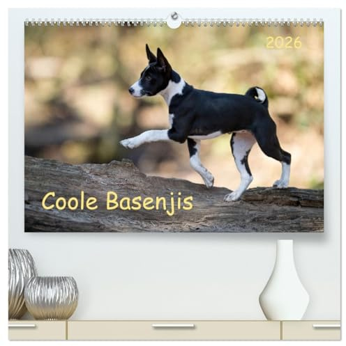 Coole Basenjis (hochwertiger Premium Wandkalender 2026 DIN A2 quer), Kunstdruck in Hochglanz: BASENJI - die ganz besondere Hunderasse (CALVENDO Tiere)