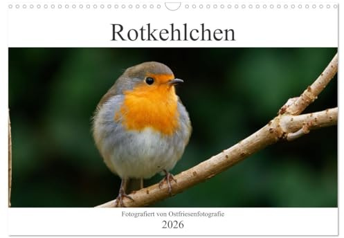 Rotkehlchen - Fotografiert von Ostfriesenfotografie (Wandkalender 2026 DIN A3 quer), CALVENDO Monatskalender: Mit dem Rotkehlchen durch die Jahreszeiten (CALVENDO Tiere)