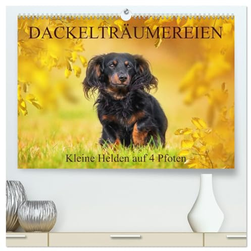 Dackelträumereien - Kleine Helden auf 4 Pfoten (hochwertiger Premium Wandkalender 2026 DIN A2 quer), Kunstdruck in Hochglanz: Lassen Sie sich von ... durch das Jahr begleiten (CALVENDO Tiere)