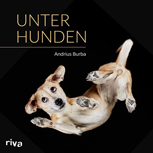 Riva