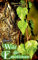 Wald der Emotionen: Band II