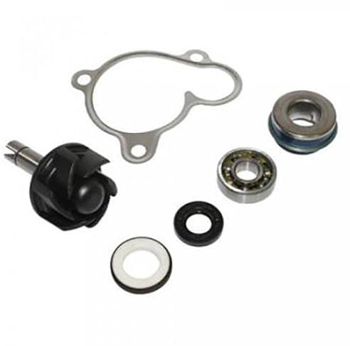Bomba de Agua BUZZETTI para Scooter Yamaha 250 Xmax 2005 A 2020 Nuevo
