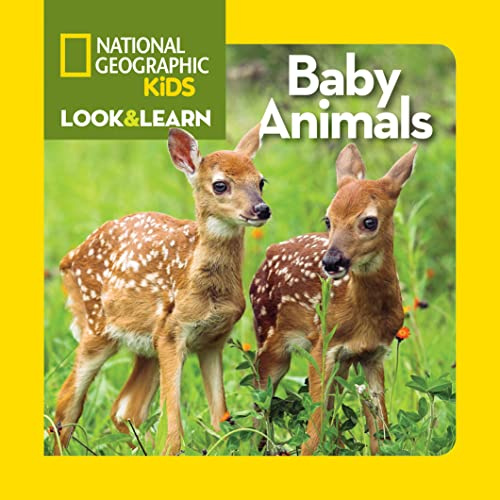 Look and Learn: Baby Animals (Look&Learn)