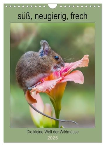 Die kleine Welt der Wildmäuse (Wandkalender 2025 DIN A4 hoch), CALVENDO Monatskalender