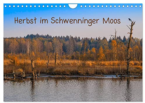 Herbst im Schwenninger Moos (Wandkalender 2026 DIN A4 quer), CALVENDO Monatskalender: Entdecken Sie die einmalige Schönheit des Regenmoores ... im Herbst (CALVENDO Natur)