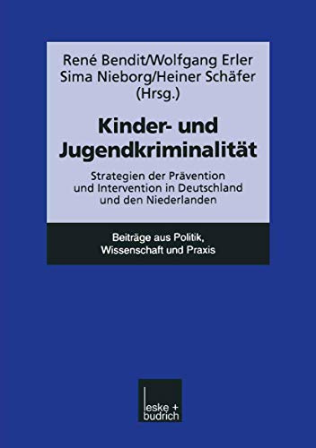 Kinder - Und Jugendkriminalität: Strategien Der Prävention Und Intervention In Deutschland Und Den Niederlanden