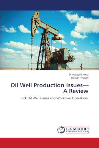 Oil Well Production Issues—A Review: Sick Oil Well Issues and Workover Operations