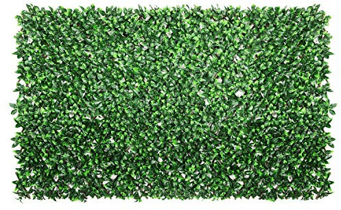 ColourTree Gardenia Ausziehbare ausziehbare Hecke, Blätter, künstlicher Efeu, Zaun, Sichtschutz – handelsübliche Qualität, 150 g/m², strapazierfähig