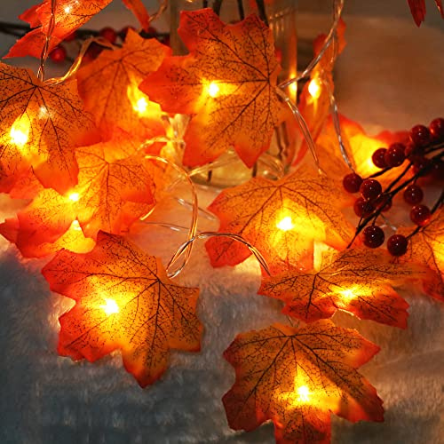 TRIXES Ahornblatt-Lichterkette 6 METER – Herbstliche Feenlichter mit 40 LEDs – Halloween-LED – Dekorative Gartenbeleuchtung – Party- und Raumdekoration