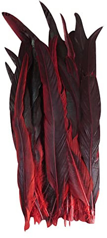 100 Stück Fasan Federn, 30-35cm Natürliche Hahnenfedern zum Basteln DIY Deko Federn für Traumfänger Köstum, Hüte, Dreamcatcher oder Karneval Halloween Weihnachtsfeier Dekoration,Rot