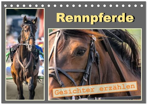 Rennpferde - Gesichter erzählen (Tischkalender 2026 DIN A5 quer), CALVENDO Monatskalender: Anmutige Portraits edler Vollblüter auf der Rennbahn (CALVENDO Tiere)