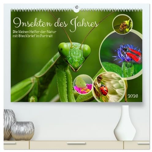 Insekt des Jahres (hochwertiger Premium Wandkalender 2026 DIN A2 quer), Kunstdruck in Hochglanz: Die kleinen Helfer der Natur mit Steckbrief im Portrait (CALVENDO Tiere)