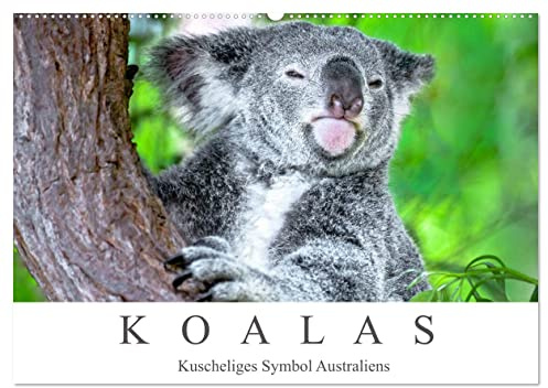 Koalas - Kuscheliges Symbol Australiens (Wandkalender 2026 DIN A2 quer), CALVENDO Monatskalender: Einzigartige Bewohner der Eukalyptuswälder Australiens. (CALVENDO Tiere)