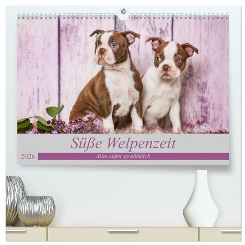 Süße Welpenzeit - Alles außer gewöhnlich (hochwertiger Premium Wandkalender 2026 DIN A2 quer), Kunstdruck in Hochglanz: Mit Hundenachwuchs durch das Jahr (CALVENDO Tiere)