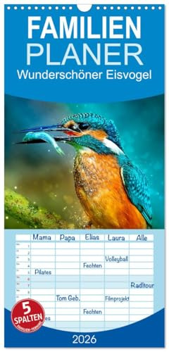 Familienplaner 2026 - Wunderschöner Eisvogel mit 5 Spalten (Wandkalender, 21 cm x 45 cm), CALVENDO: Eindrucksvolle Bilder der schillernden Vögel. (CALVENDO Tiere)