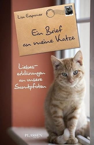 Ein Brief an meine Katze: Liebeserklärungen an unsere Samtpfoten