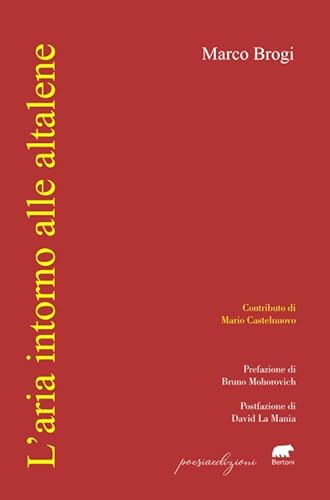 L'aria intorno alle altalene