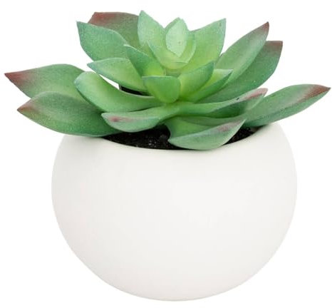 Atmosphera - Plante grasse en Pot H13 -
