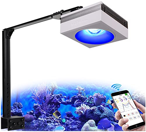 PopBloom RL90 WiFi Meerwasser LED 100W, Salzwasser LED Beleuchtung für Reef Coral Fish Wasserpflanzen Salzwasser Aquarium,APP unterstützt Deutsch (1 WiFi Lampen mit Armhalterung)