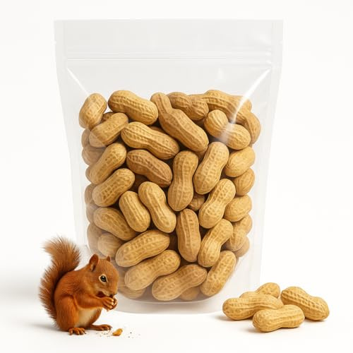 Sky | Premium USA Grown, rohe Erdnüsse in Schale für Eichhörnchen, 1,8 kg | ungesalzene Erdnüsse in der Schale, gekochte Erdnüsse, Jumbo Rohe Erdnüsse in der Schale, Eichhörnchen Erdnüsse in Schale