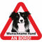 Indigos UG - Autoaufkleber selbst gestalten Namensaufkleber Hund 15 cm - Border Collie - Sticker mit Name & Wunschtext personalisiert selbstklebend - Motorrad - LKW - Heckscheibenaufkleber