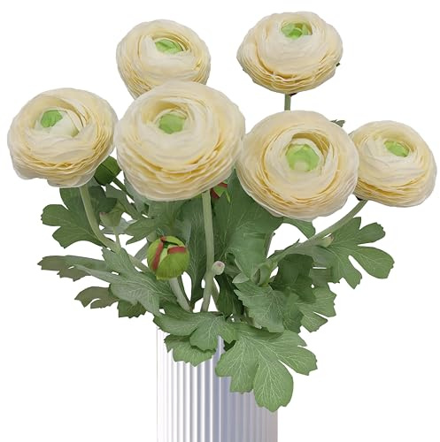 ATFL Künstliche Ranunkeln, weiße Ranunkel, 6 Stück, künstliche Ranunkeln mit echtem Stiel, künstliche Ranunkel, Seidenranunkel, Blumenstrauß (6, weiß)