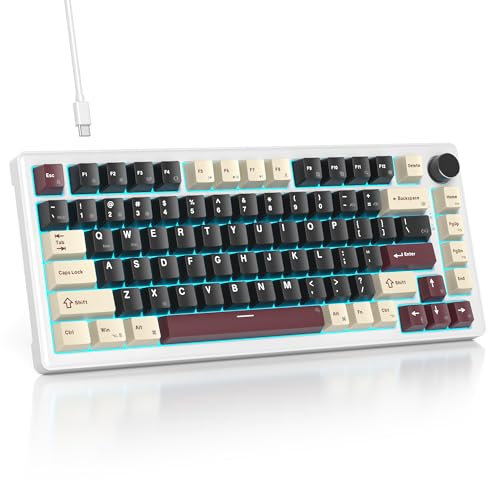 SOLIDEE tastiera gaming meccanica 75 percento,Tastiera Retroilluminata RGB,tastiera meccanica hot swappable/tastiera Gasket,82 tasti TKL NKRO Compatto tastiera con manopola del volume(82 Roman)