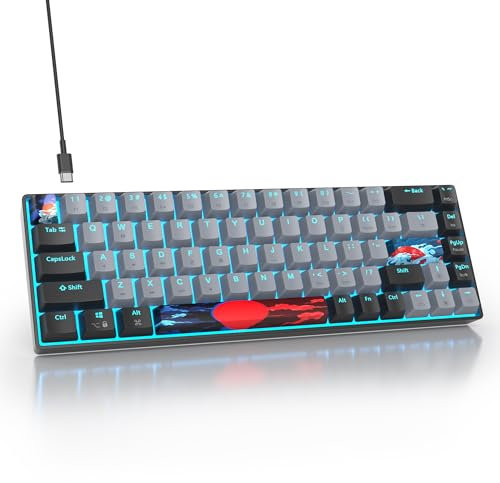 SOLIDEE 65% Teclado mecánico para juegos,68 teclas con interruptores rojos lineales,Luz azul hielo,Teclado mecánico con cable con retroiluminación LED,ergonómico para PS5/PS4/Xbox(68 Dolch)