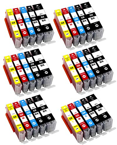 Bergsan 30 Druckerpatronen kompatibel mit Canon PGI-525 CLI-526 für Pixma IP4850 IP4950 IX6550 MG5150 MG5250 MG5350 MG6150 MG6250 MG8150 MG8250 MX710 MX885 MX895 IX6550 MG6100 MG6200