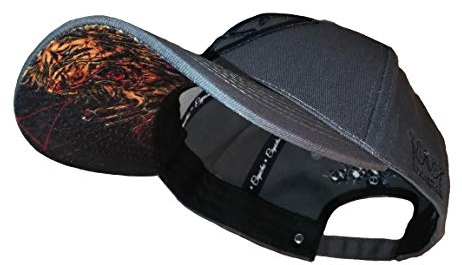 Capiche [13 VARIATIONEN] Basecap Cap - Kappe Baseball Mütze Kunst Unisex Schirm Männer One Size Herren Damen Hungry Lion