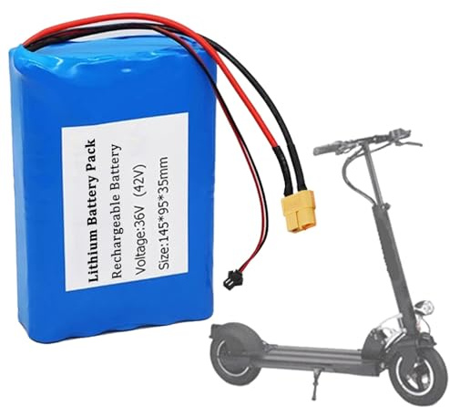 SSCYHT Ersatzakku 36 V 10 Ah 8 Ah 6 Ah Lithium-Akku 36 V Hoverboard-Akkus mit SM- und XT60-Anschluss für 200-W- bis 400-W-Motorkits