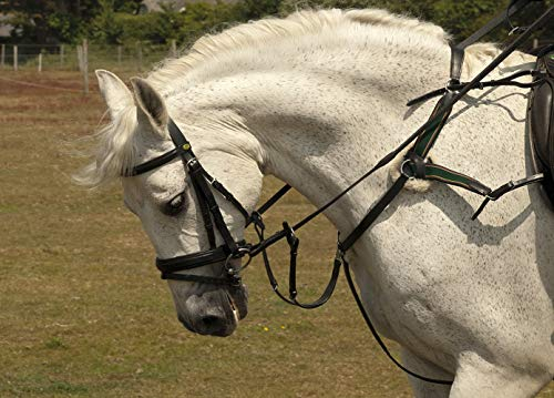 Rhinegold 0 5-Point Breastplate-Pony-Black Vorderzeug, Schwarz