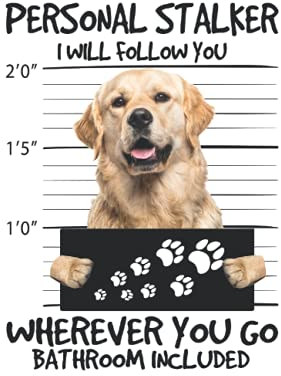 Golden Retriever Kalender 2022: Kalender 2022 6x9 Zoll mit 129 Seiten | Golden Retriever Kalender 2022