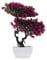 HOMSFOU Künstliche Bonsai-Baum Drinnen Brüsseler Bonsai Gefälschter Bonsai-Baum Eingemachter Kiefernbaumdekor Künstliche Bonsaischalen Plastik Esstisch Büro Eingetopfter Baum