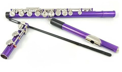 16-Tasten-Flöte Mit Geschlossenem Loch, C-Ton, Weiß Verkupfert, Nickel, Violett, E-Taste, Flöteninstrument Mit Koffer Querflöte für Anfänger